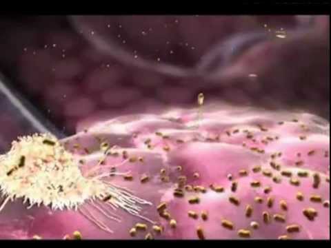 Планетарий - Человеческий код