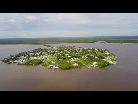 Видео: Everglades във Флорида, застрашени от нови хибридни питони