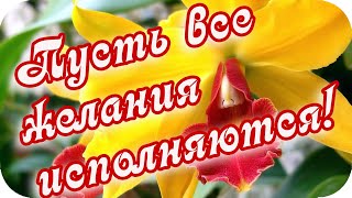 С Добрым Утром! 🌸Пусть Мечты Сбываются! 🌸Красивая Музыкальная Открытка🌸Good Morning!🌸