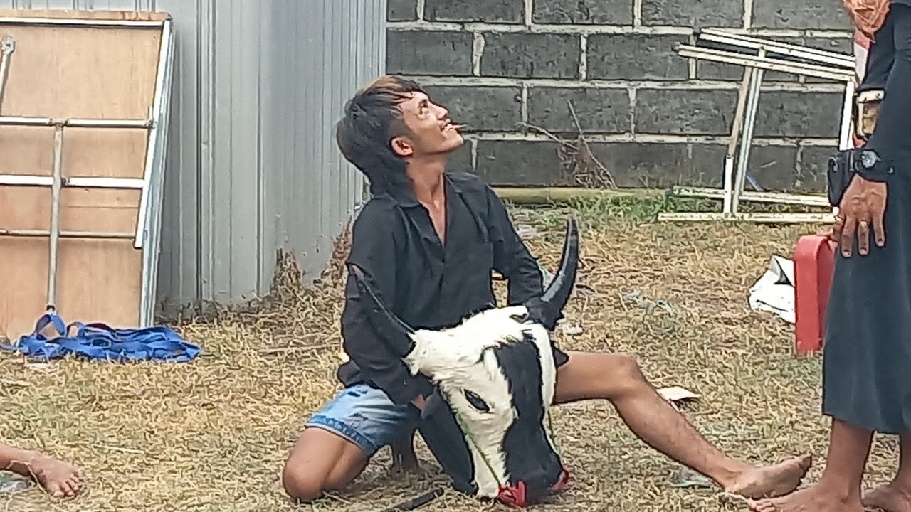 BANTENGAN MBERIK LIVE PASAR RAKYAT TROWULAN