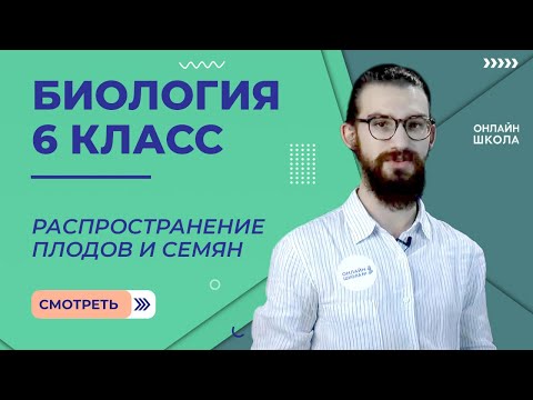 Распространение плодов и семян. Урок 14. Биология 6 класс