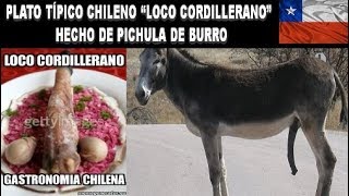 Chilenos comen pichula de Burro la cual llaman “loco cordillerano” gastronomía 100% chilena