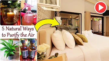 How do you detox indoor air?