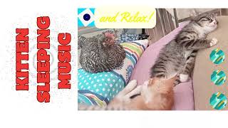 🍏 Kitten Sleeping Music | 2024 #youtube