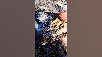 The Earth Never Ceases to Amaze Me! Kyanite! 💎