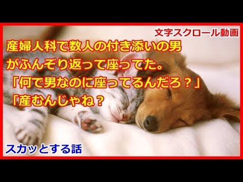 【スカッとする話】スッキリ！産婦人科で数人の付き添いの男 がふんぞり返って座ってた。 「何で男なのに座ってるんだろ？」 「産むんじゃね？（ぼぶちゃんねる）