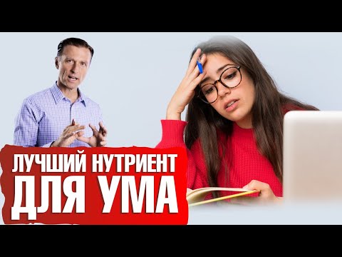 Как улучшить работу мозга? Лучший нутриент для мозга🧠