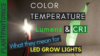 How to Choose the Best White Leds for Grow Lights