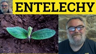  Entelechy Meaning  Entelechy Exdanles  Philosophy  Define Entelechy  Entelechy Explained