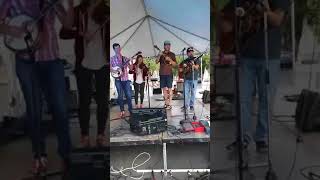 Julie and The Waves @ 50th Anniversary