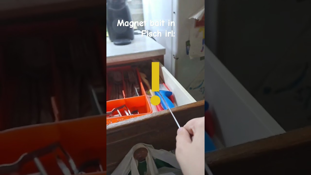 Magnet bait in Fisch irl💀😭🙏 