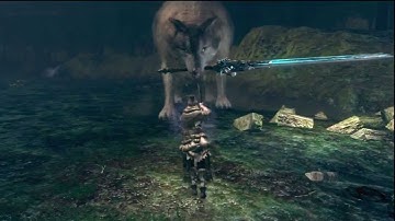 Dark Souls ENB Challenge Great Grey Wolf Sif Pyromancer SL1