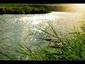 Relaxing Music 🎧, Meditation Music for Sleep or Insomnia, Calming Sounds to Fall Asleep