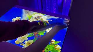 Budii Table Projection - Ideal for Children with Special Needs & Eldercare Applications