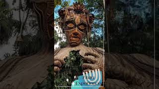 Tour Ahau Experience