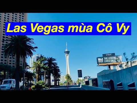 Video: Las Vegas Cho Người đi Bộ