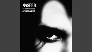 NASEEB