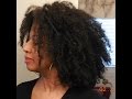 84 - Natural Hair: How to get started #SebumConditioning on AfroTextured hair  (#wateronly)