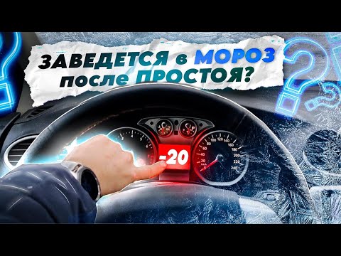 Запуск машины в МОРОЗ после простоя! Заведется?