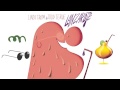 LINDSTRØM & TODD TERJE - Lanzarote (krokstapella)