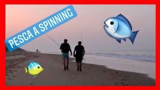 Pesca a Spinning en Mazagón