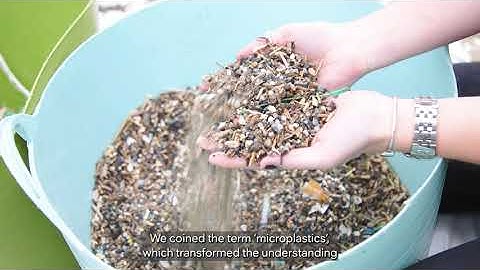 Systems thinking: the key to tackling the climate emergency