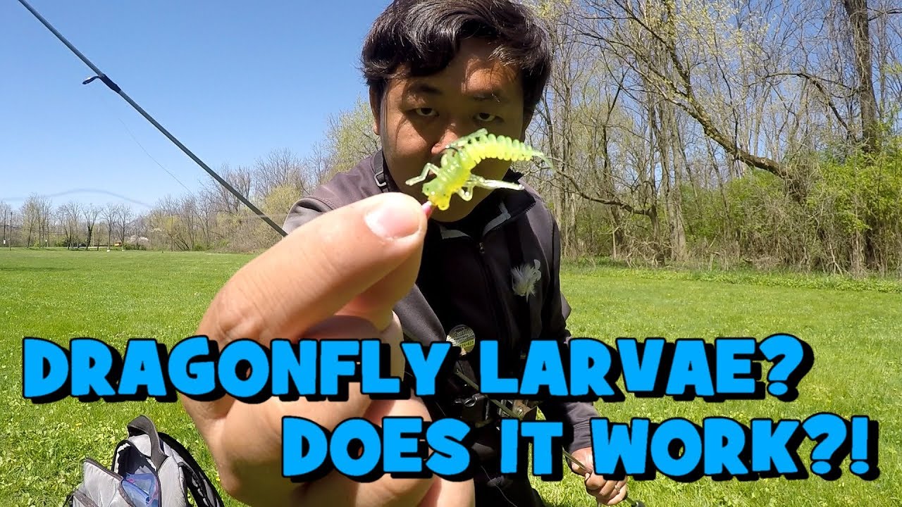 DRAGONFLY LARVAE Lure! Can it FOOL the FISH?! 