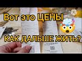 МОИ ЦВЕТЫ/ ПРОГУЛКА ПО МАГАЗИНАМ, ЧТО КУПИЛИ?