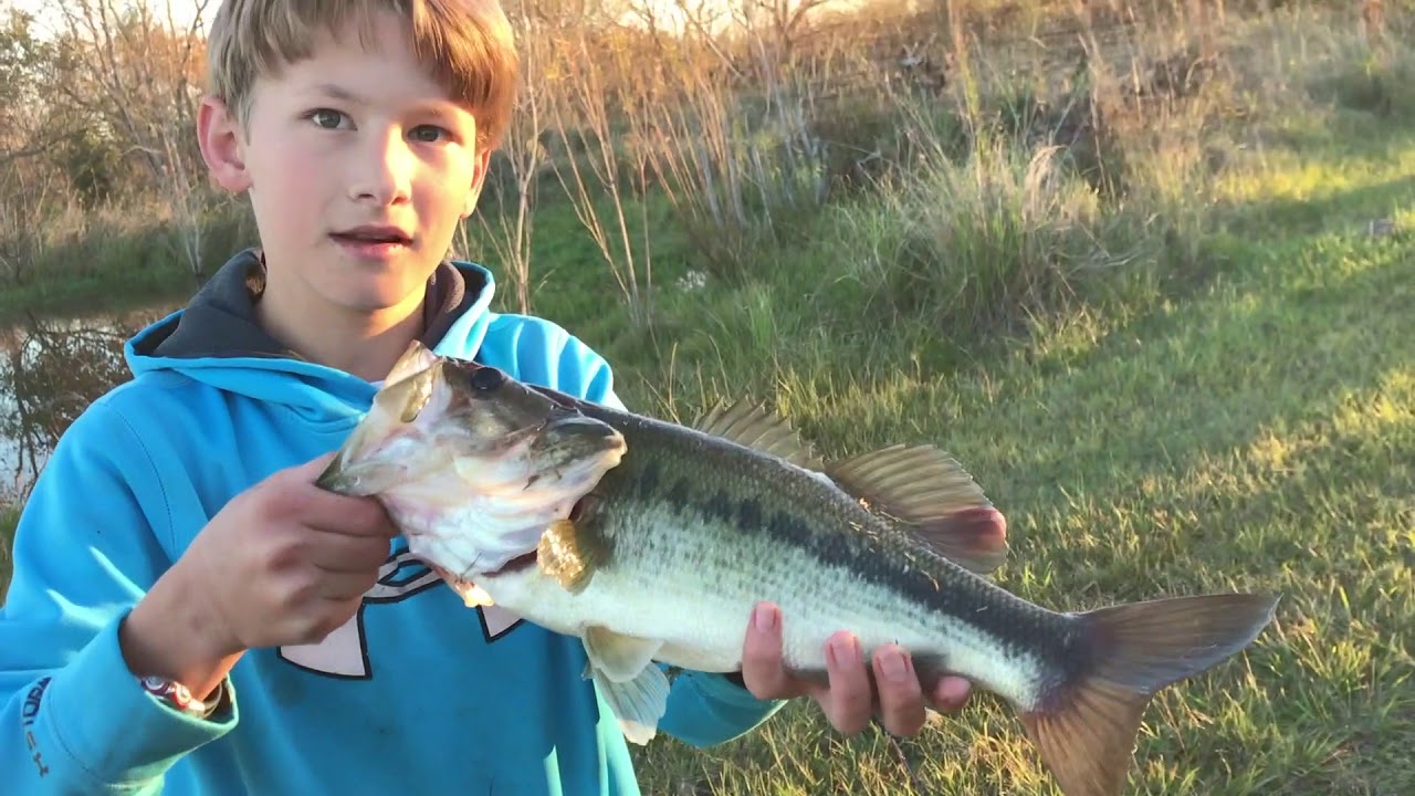 BASS EAT BASS?(USING A BASS LURE) YouTube