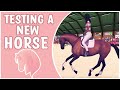 EQUESTRIAN THE GAME ⭐ Buying & Testing Tier 5 Trailer Horse ⭐