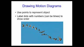 Representing Motion