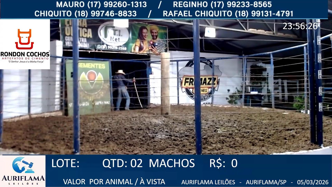LEILÃO AURIFLAMA LEILÕES -05/03/2026 - AURIFLAMA/SP - AO VIVO@GADOBOIHJ