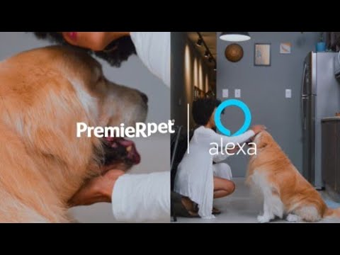 Alexa e PremieRpet | Skill PremieRpet