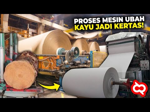Video: Bagaimana Kertas Dibuat?