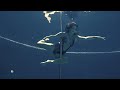 Pole Dancer | Underwater Photoshoot ✨ | (Behind The Scenes) Morning Dive Experience