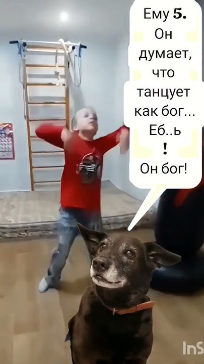 Пацан танцует под Фаину #pets #сын #танцы #жгут #Нефть #dance - YouTube
