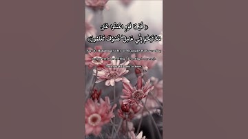 سورة الزمر، من قوله تعالى: "قل يا قومِ اعملوا على مكانتكم إني عامل.." للقارئ أحمد العبيد🌹