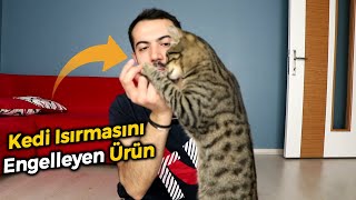 KEDİ ISIRMASINI ENGELLEYEN ÜRÜN! (Kedime Aldığım Ürünler / Matatabi Nedir? Matatabi Zararlı Mı?)