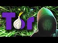 Tor Browser - Lo que NO te Dijeron 🔒