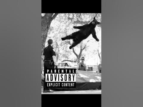 Мишка гамми - YouTube