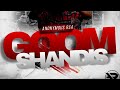 Anonymous RSA-Gqom Shandis(Visualizer)