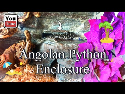 Angolan Python Enclosure