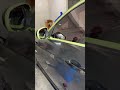 #automobile #carpolishing #detailing #kevinpolishmart #bmw