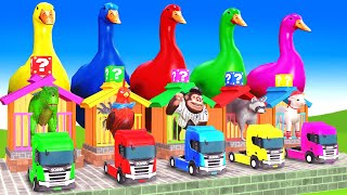 5 Giant Duck, Monkey, Piglet, chicken, buffalo, lion, cow, Sheep, Transfiguration funny animal 2023