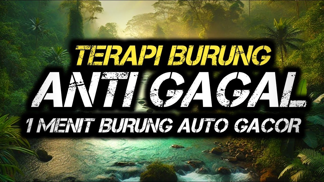 Terapi air untuk semua jenis burung, gemericik air terapi burung, Terapi Burung ANTI GAGAL 2025