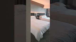 Niagara Falls Sheraton Fallsview