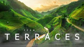 Rice Terraces I Relaxing Ambient Music I Healing Music for Mind and Body