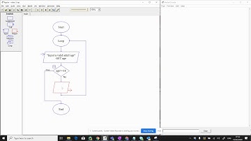 Indefinite loops in Raptor (WHILE / REPEAT loops)