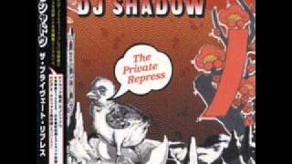 Watch Dj Shadow The 6 Day War video