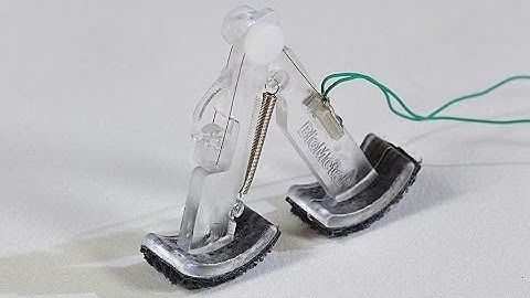 Nitinol Wire Inchworm